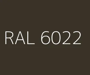 RAL 6022