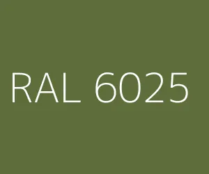 RAL 6025